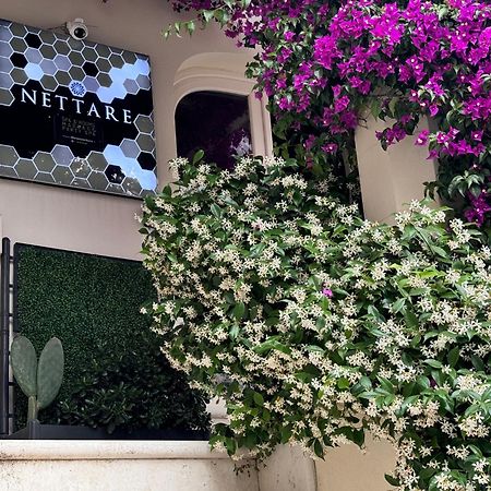 Dimora Nettare Hotel Brindisi Exterior photo